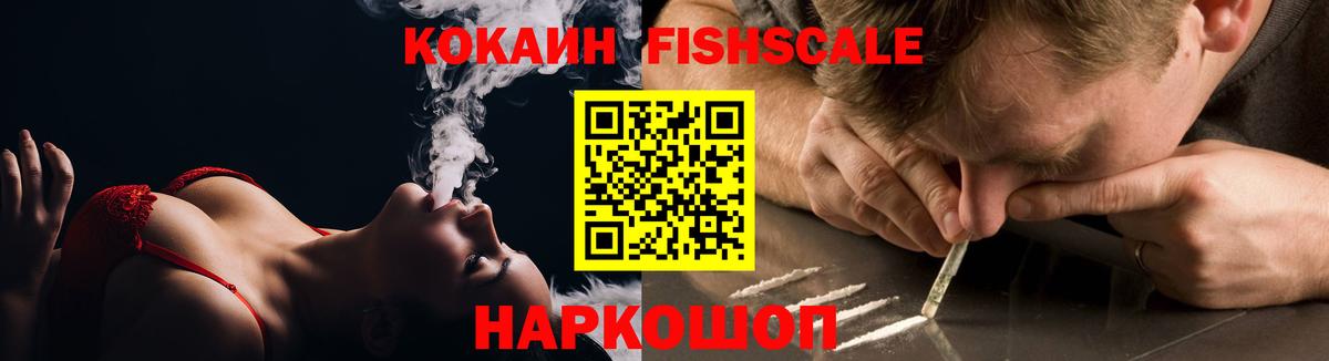 Гай  COCAIN 98%  Вход с VPN 