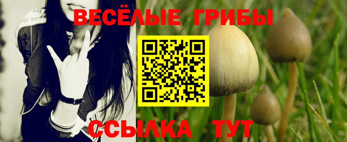 Гай  Псилоцибиновые грибы мицелий  Вход с VPN 